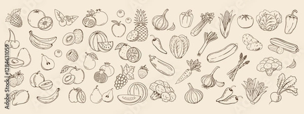 Fototapeta Set of sketch vegetables and fruits. Collection of hand drawn farm products for restaurant menu, market label. Retro style illustration sketch