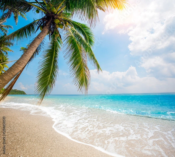 Fototapeta panorama of tropical beach with coconut palm trees
