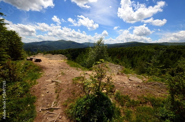 Obraz kamień dwernik