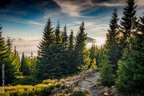 Obraz mountain roads collection