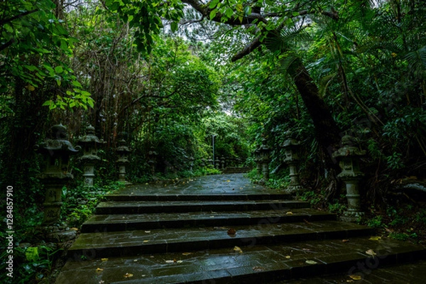 Obraz 自然と歴史を感じる冨崎観音堂｜緑に包まれた癒しの参道散策
