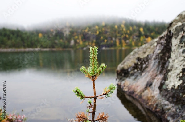 Fototapeta Autumn in Lapland, Finland