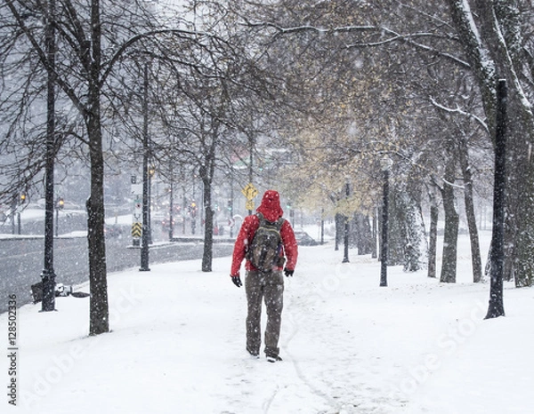 Obraz walking in the snow