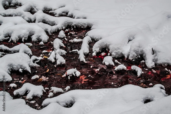 Obraz From autumn to winter