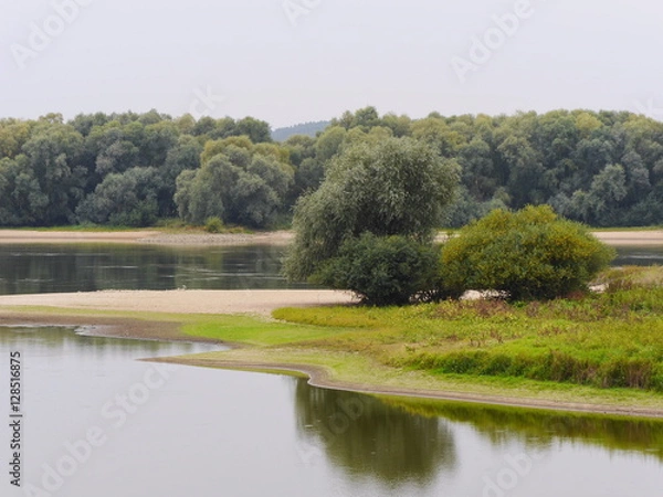 Obraz Elbauen mit Altarm