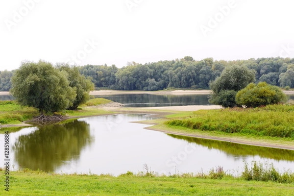 Obraz Elbauen mit Altarm