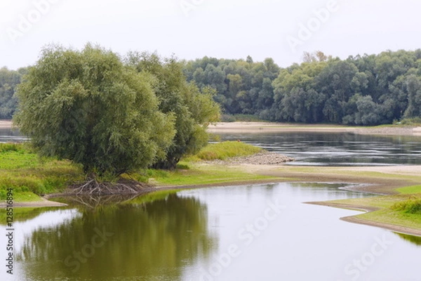 Obraz Łaba ze starym ramieniem