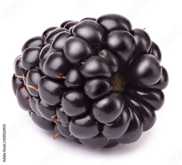 Fototapeta Dojrzałe leżące jeżyna izolowane na białym tle z ścieżką przycinania