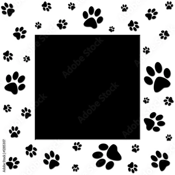 Fototapeta paws frame