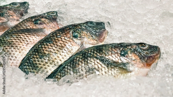 Fototapeta Fresh Tilapia Fish Displayed on Ice at the Supermarket Seafood Section