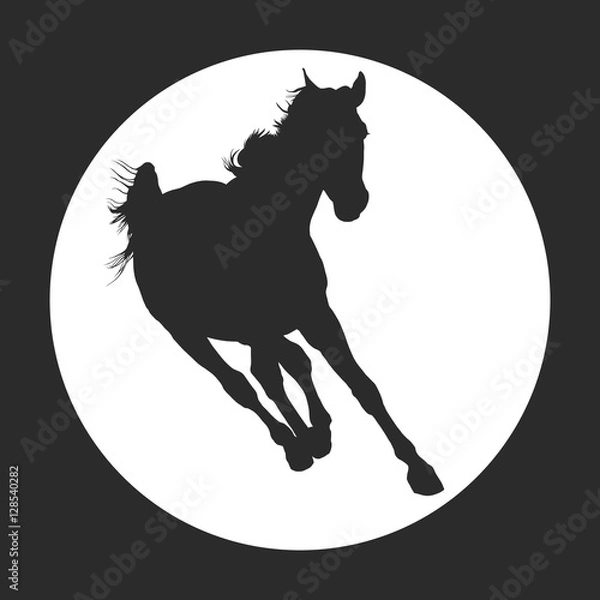 Obraz horse silhouette
