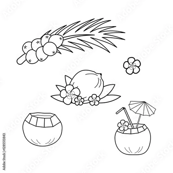Fototapeta Coconuts black line vector illustration, Sri Lanka, Maillard reaction. Palm leaves with fruits, Royal coconut on palm branch. Doodle Coconut cocktail with straw, tropical flowers, umbrella.