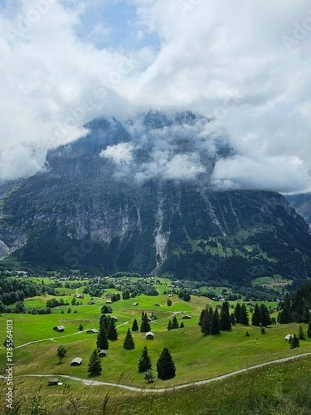 Fototapeta A breathtaking mountain trail winding through the alpine landscape of Grindelwald, Switzerland, with towering peaks in the background. This scenic pathway offers stunning views of the Swiss Alps, invi