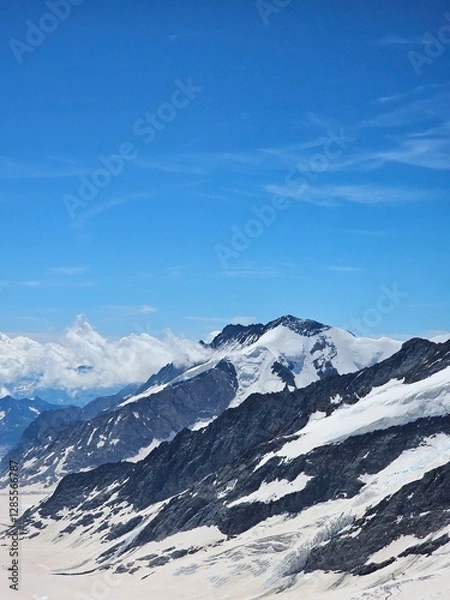 Fototapeta A stunning summer view of Jungfrau, one of Switzerland's most iconic peaks. The photo showcases the lush green meadows and vibrant alpine flowers at the base of the towering snow-capped mountain. The 