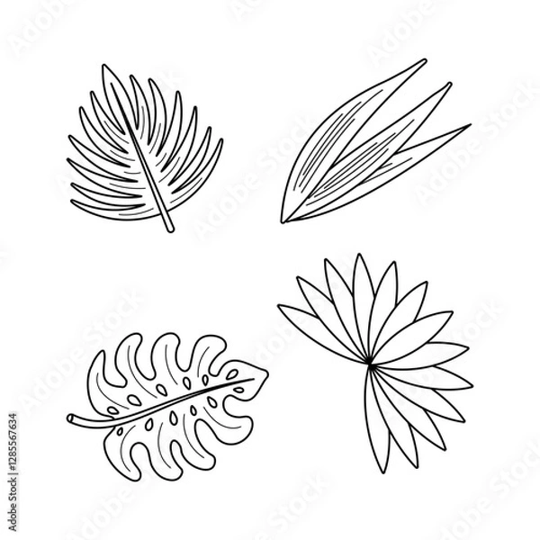 Fototapeta Tropical leaves set. Black line Vector isolated elements. Plant branches, strelitzia, aralia, monstera, banana, coconut, palm leaves.