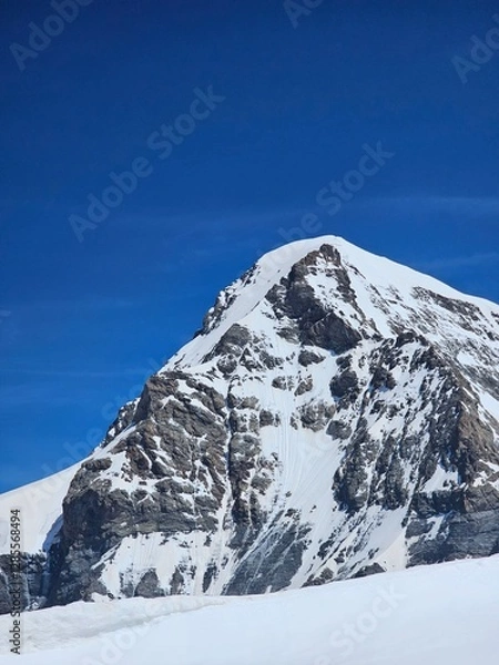 Fototapeta A stunning summer view of Jungfrau, one of Switzerland's most iconic peaks. The photo showcases the lush green meadows and vibrant alpine flowers at the base of the towering snow-capped mountain. The 
