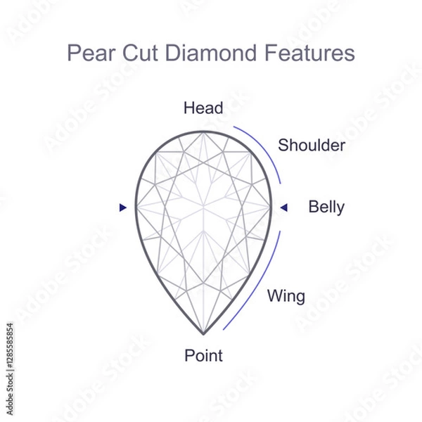 Fototapeta Pear cut precious gemstone anatomy, parts and their names. Outline icon with editable stroke