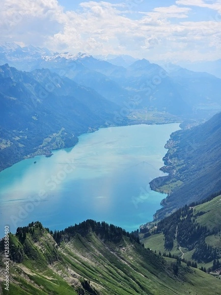 Fototapeta A breathtaking summer photo taken from the summit of Brienzer Rothorn, showcasing the serene beauty of Lake Brienz nestled in the Swiss Alps. The turquoise waters of the lake contrast beautifully with