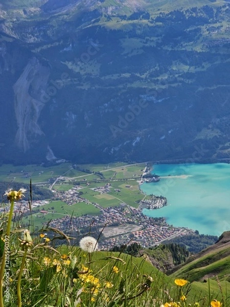 Fototapeta A breathtaking summer photo taken from the summit of Brienzer Rothorn, showcasing the serene beauty of Lake Brienz nestled in the Swiss Alps. The turquoise waters of the lake contrast beautifully with