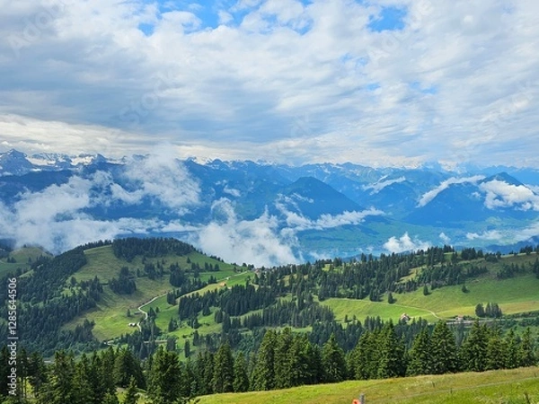 Fototapeta A stunning summer view from Mount Rigi, often referred to as the "Queen of the Mountains," offering panoramic vistas of the Swiss Alps and surrounding lakes. This image captures the lush green meadows
