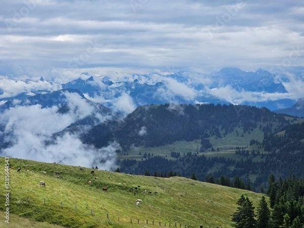 Fototapeta A stunning summer view from Mount Rigi, often referred to as the "Queen of the Mountains," offering panoramic vistas of the Swiss Alps and surrounding lakes. This image captures the lush green meadows