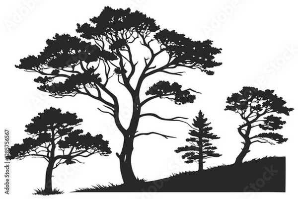 Fototapeta set of Juniper tree silhouette vector illustration