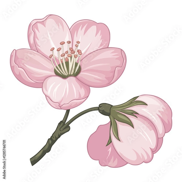 Fototapeta Pink Rose Isolated on White Background Vector Illustration
