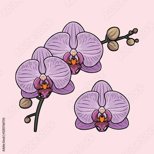 Fototapeta Beautiful pink orchid flowers in bloom isolated on a tropical branch