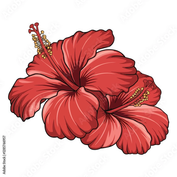 Obraz Red Hibiscus Flower Isolated on White Background