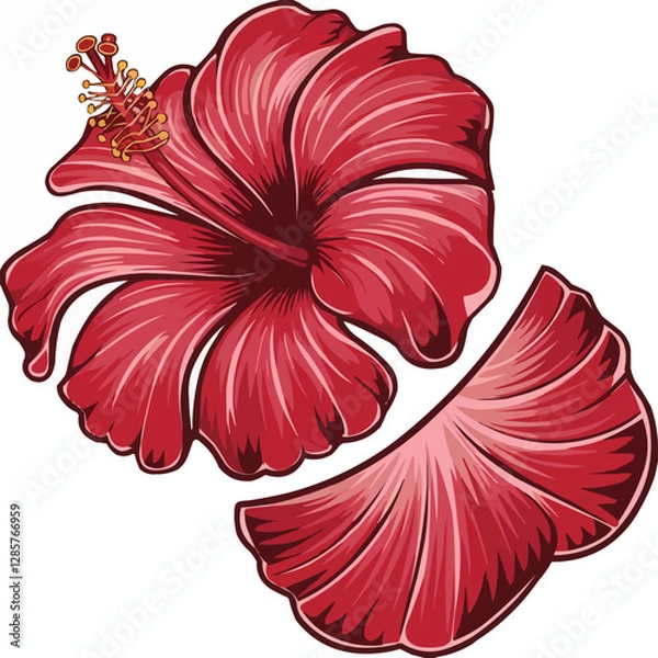 Fototapeta Red Hibiscus Flower Vector Illustration on White Background