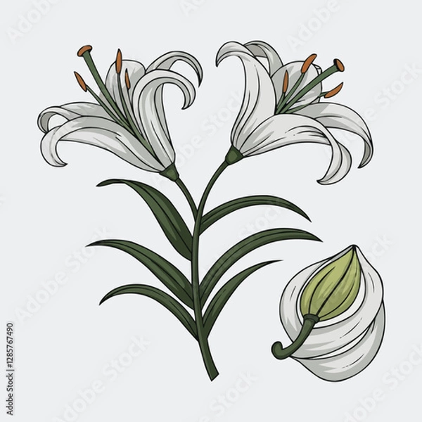 Fototapeta Elegant Lily Illustration: A delicate illustration showcases the graceful beauty of lilies, with their pristine white petals, slender stems, and vibrant green leaves.