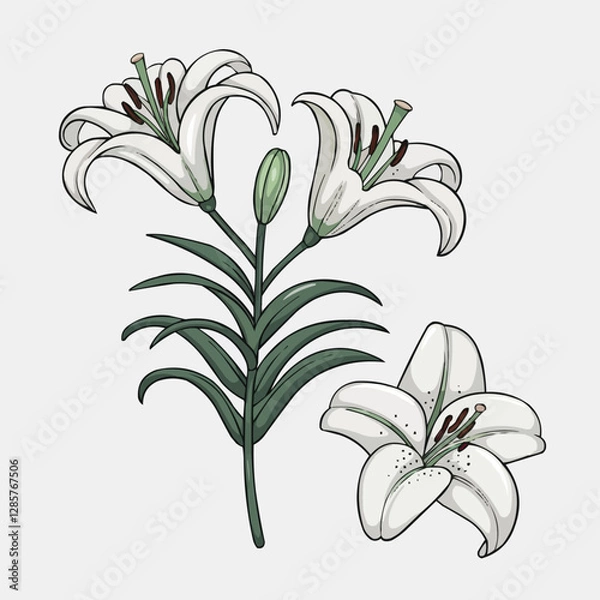 Fototapeta Elegant Lily Trio: A delicate illustration of three graceful white lilies, their petals pristine, contrasted by lush green leaves, exuding a sense of purity and elegance.