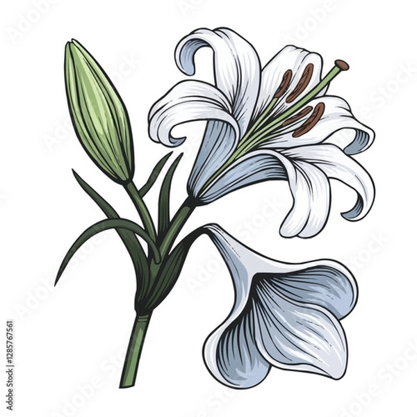 Fototapeta Elegant Lily: A detailed illustration of a pristine white lily flower, showcasing delicate petals, a vibrant green stem, and unopened buds, representing purity and beauty.