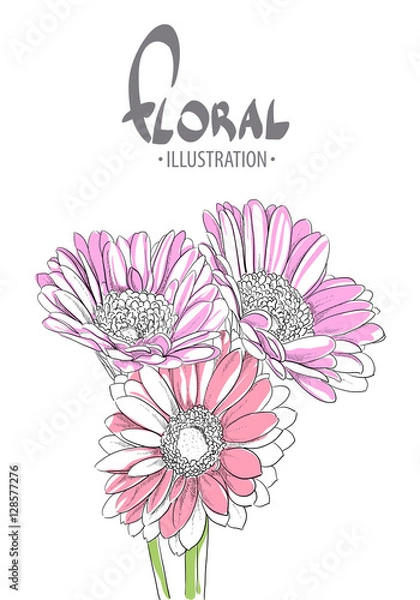 Obraz Beautiful gerbera closeup