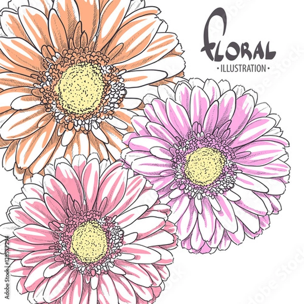 Obraz Bright gerbera on a white background