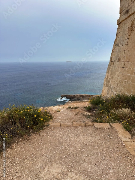 Fototapeta sea view to blue grotto in Malta Island from above with a nature and flowers around it