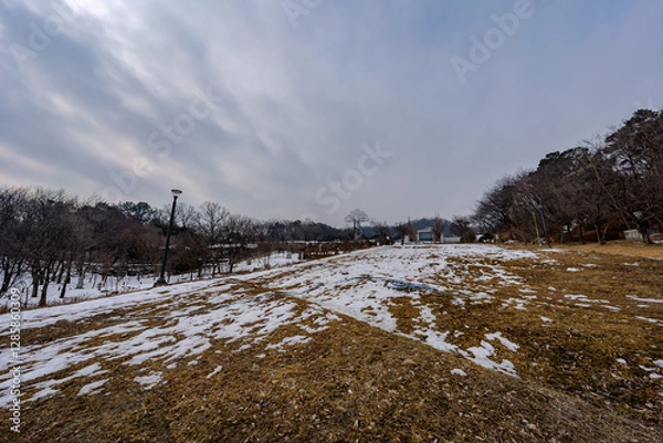 Obraz 韓国　利川市　雪峰公園の風景