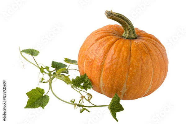 Obraz High-Quality Whole and Sliced Pumpkin PNG Free Download
