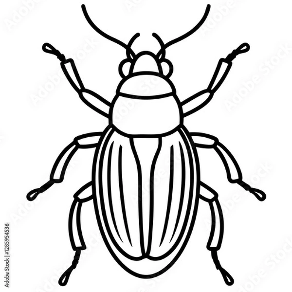 Obraz Elegant Beetle Line Drawing