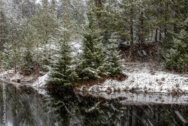 Fototapeta winter landscape with a lake, magical snow-covered trees and reflections in the lake, a gorgeous winter day