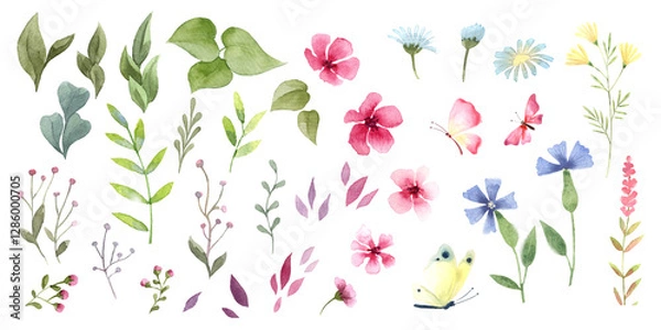 Fototapeta A set of watercolor plant elements to customize  design