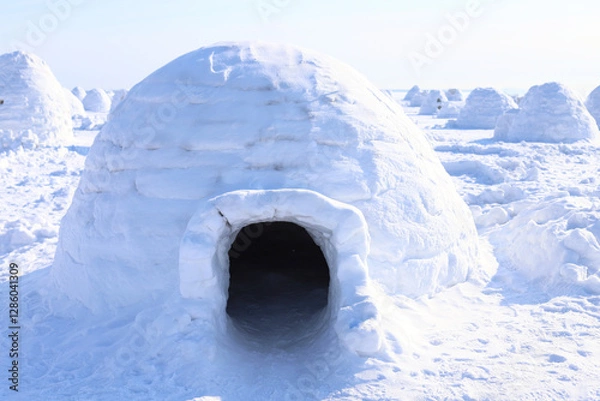Obraz Abstract Landscape - Eskimo City. Snow igloo house in winter.