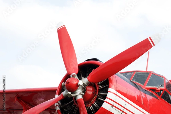 Obraz Red retro airplane
