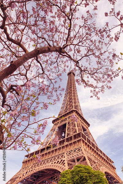 Obraz Eiffel Tower 5