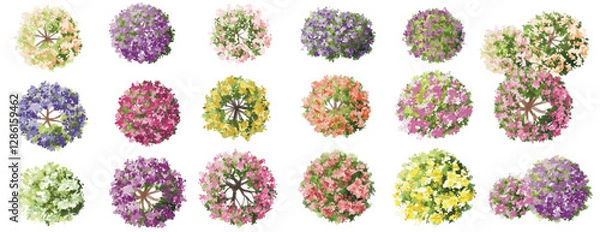 Fototapeta Vertor set of spring blossom tree,blooming plants top view for landscape plan,schematic layout,eco environment concept design,watercolor sakura illustration