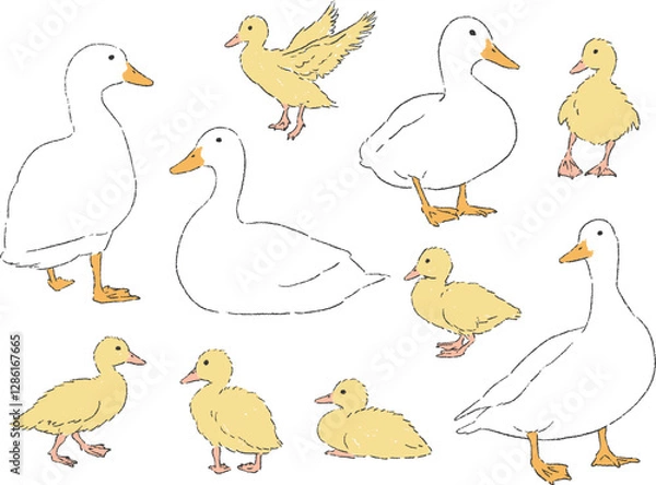 Fototapeta アヒルとヒナの手書きイラストセット