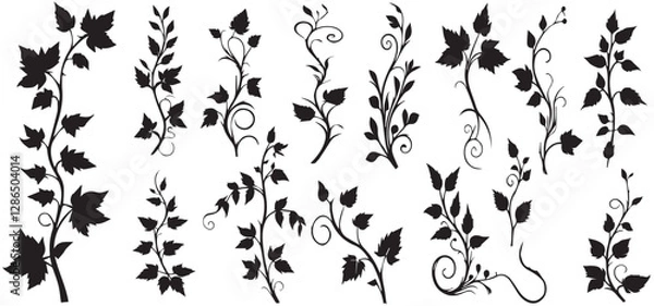 Fototapeta silhouette Ivy flower set, Ivy Vector, climbing ivy creeper branch isolated on white background vector