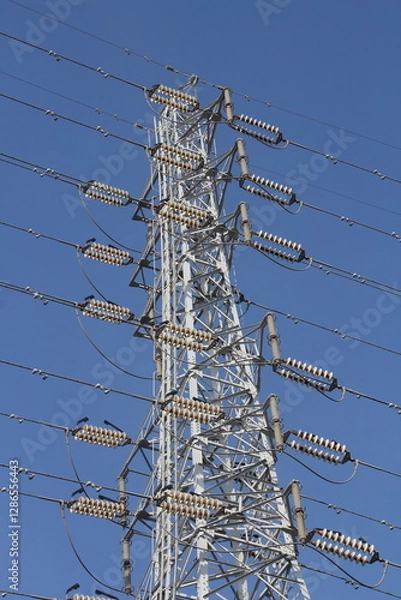 Obraz 青空背景の送電線