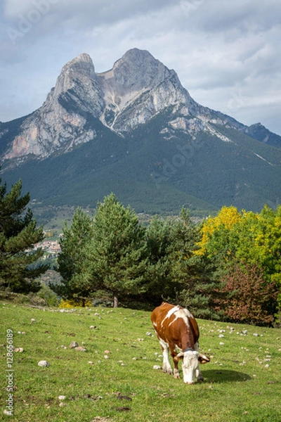 Fototapeta Pedraforca, Catalonia