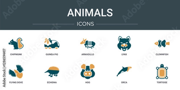 Obraz set of 10 outline web animals icons such as chipmunk, guinea pig, armadillo, lynx, clownfish, flying dove, echidna vector icons for report, presentation, diagram, web design, mobile app